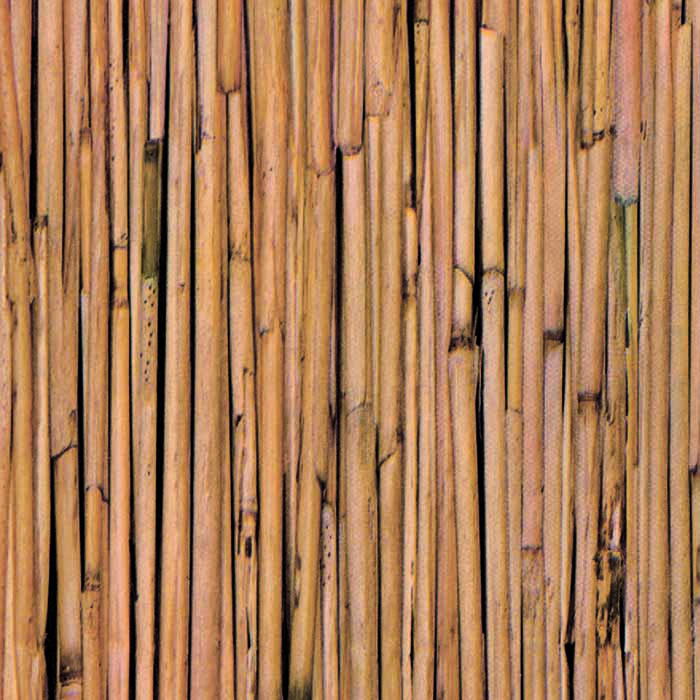 Gekkofix Bamboo 45 cm